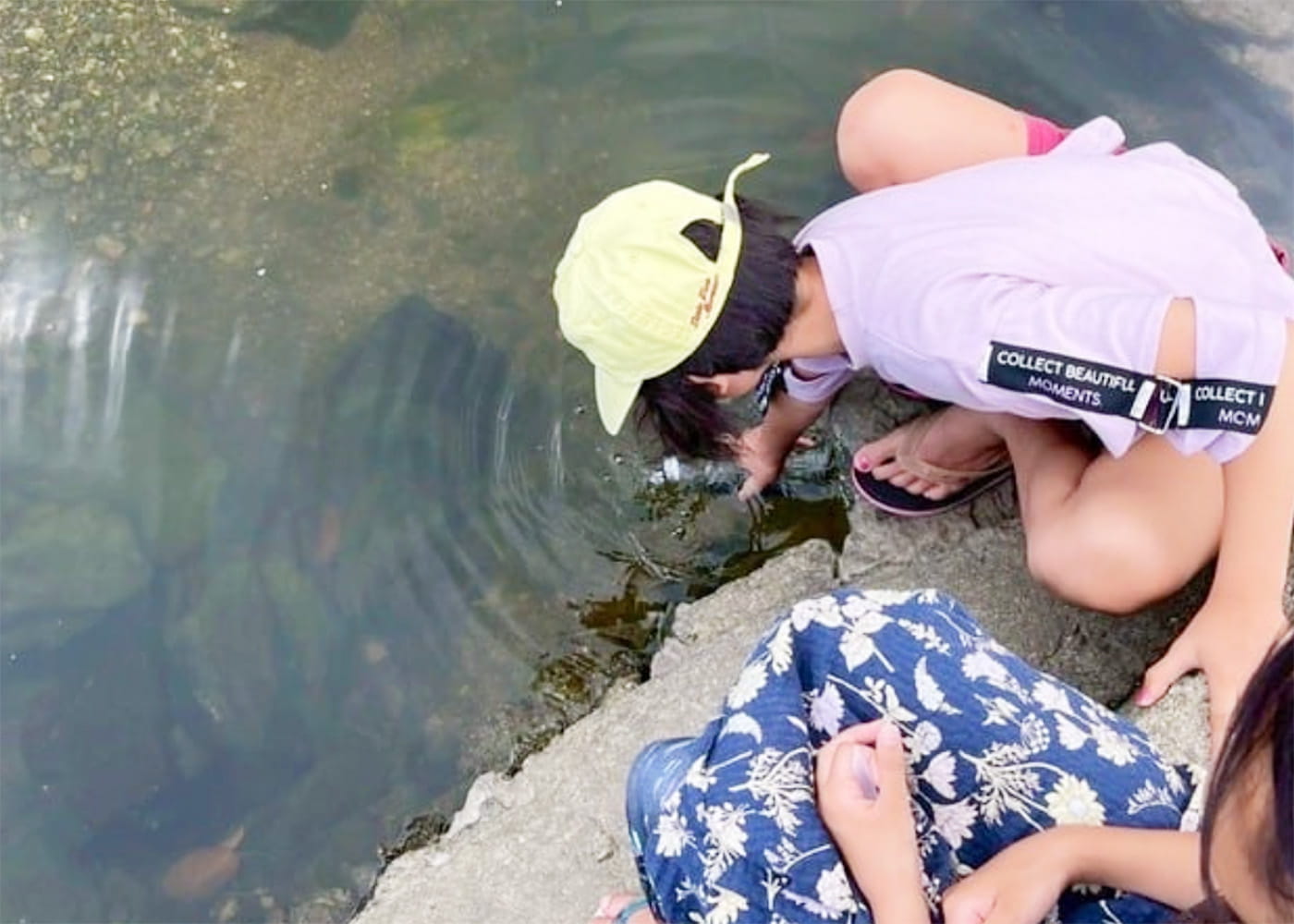 川辺で生きものを調査する様子