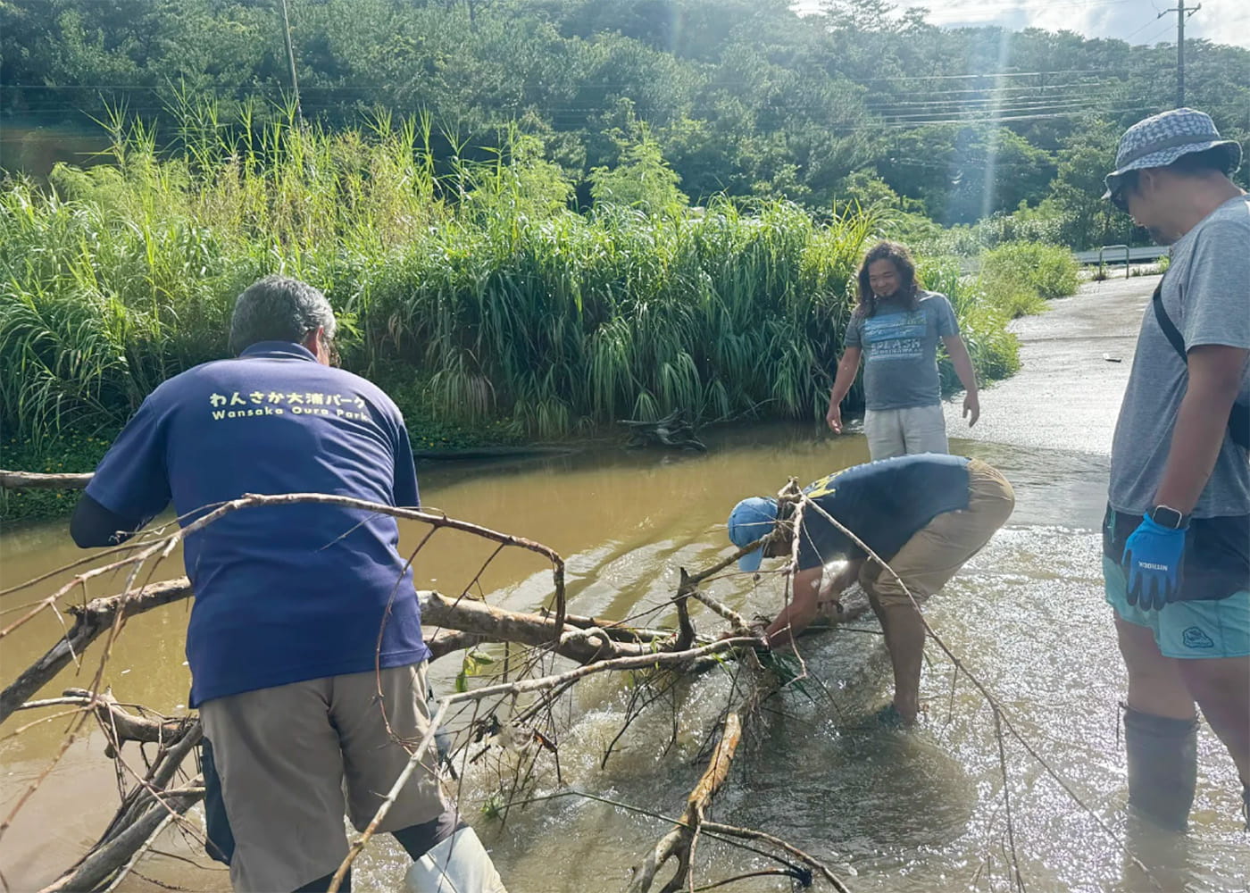 川辺の清掃および保全活動の様子
