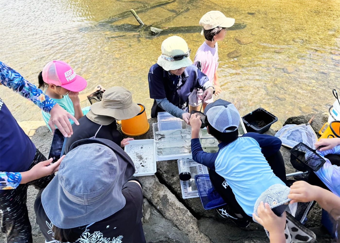 子どもたちへの環境教育プログラムの様子
