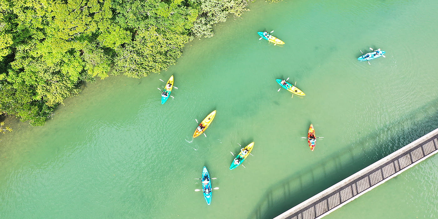 沖縄名護市 大浦湾 エコツアー