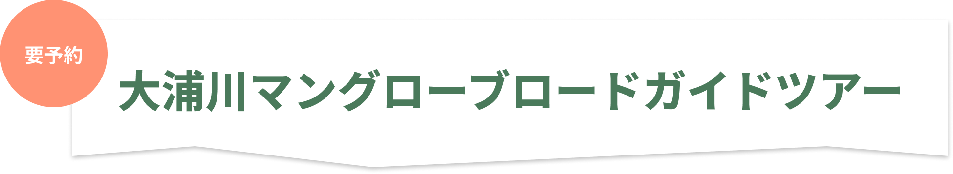 沖縄で自然体験 大浦川マングローブロードガイドツアー