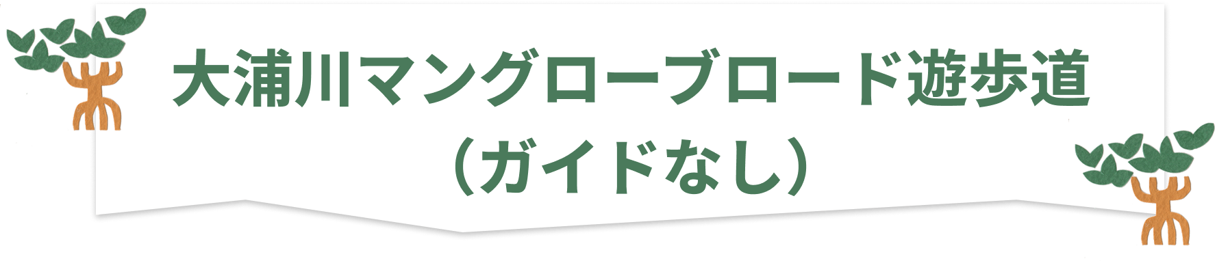 沖縄で自然体験 大浦川マングローブロード遊歩道