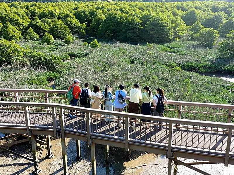 大浦川マングローブロードガイドツアー