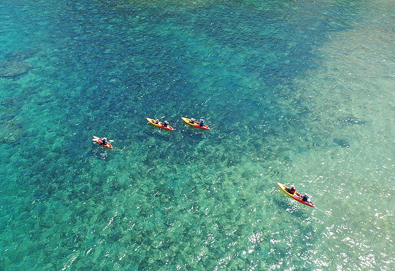 沖縄の自然体験