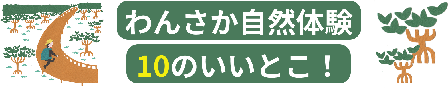 沖縄北部でわんさか自然体験 10のいいとこ