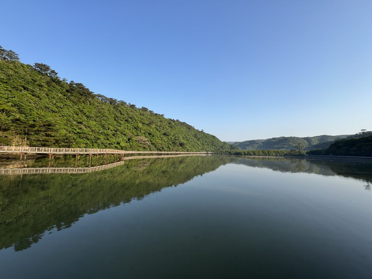 沖縄・大浦川で環境DNA調査｜見えない命の多様性