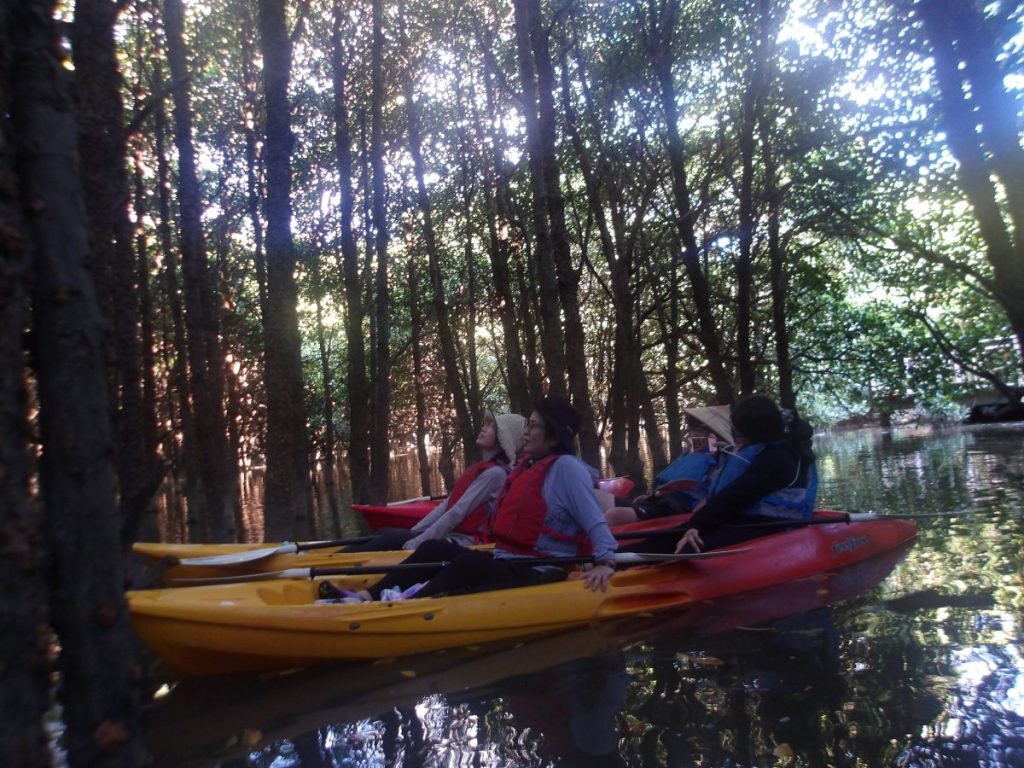 大浦川マングローブカヤックツアーのお客様 - No Image