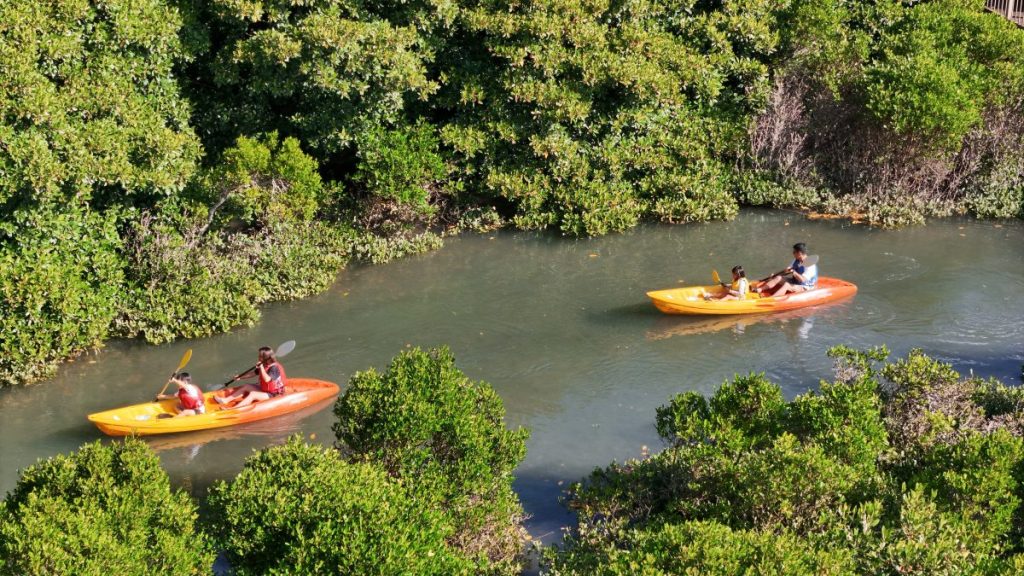 大浦川マングローブカヤックツアーのお客様 - No Image