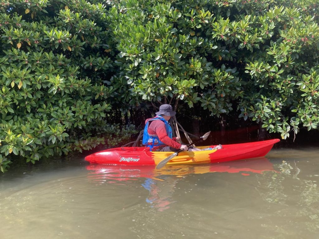 大浦川マングローブカヤックツアーのお客様