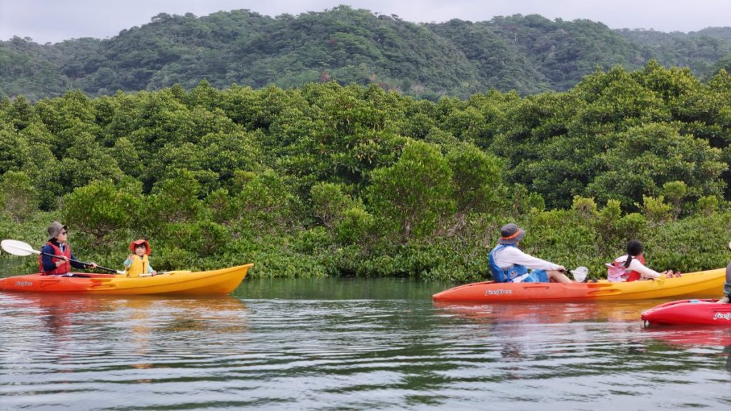 大浦川マングローブカヤックツアーのお客様 - No Image
