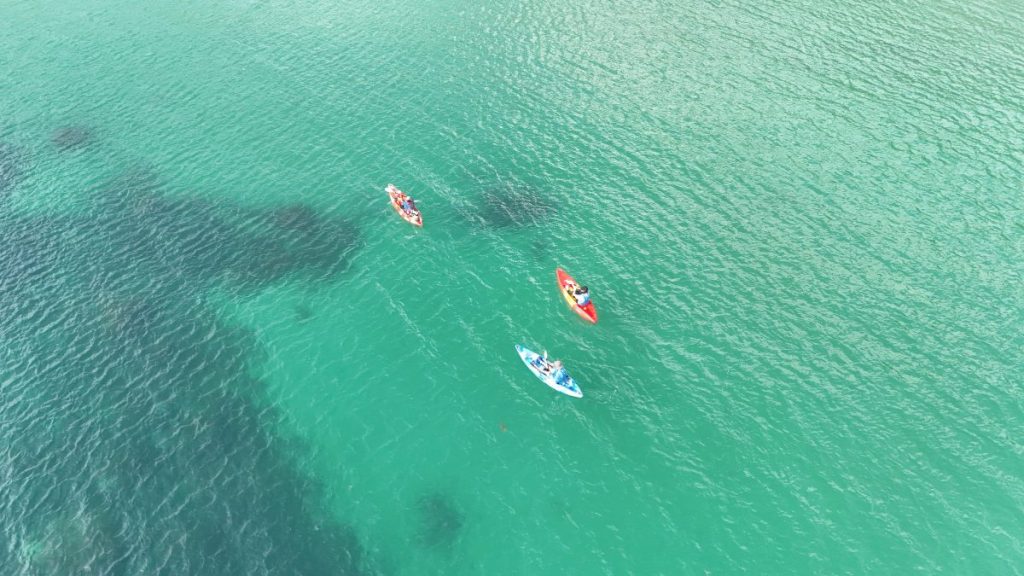 カヌチャリゾート/アンタッチビーチピクニックツアーのお客様 - No Image