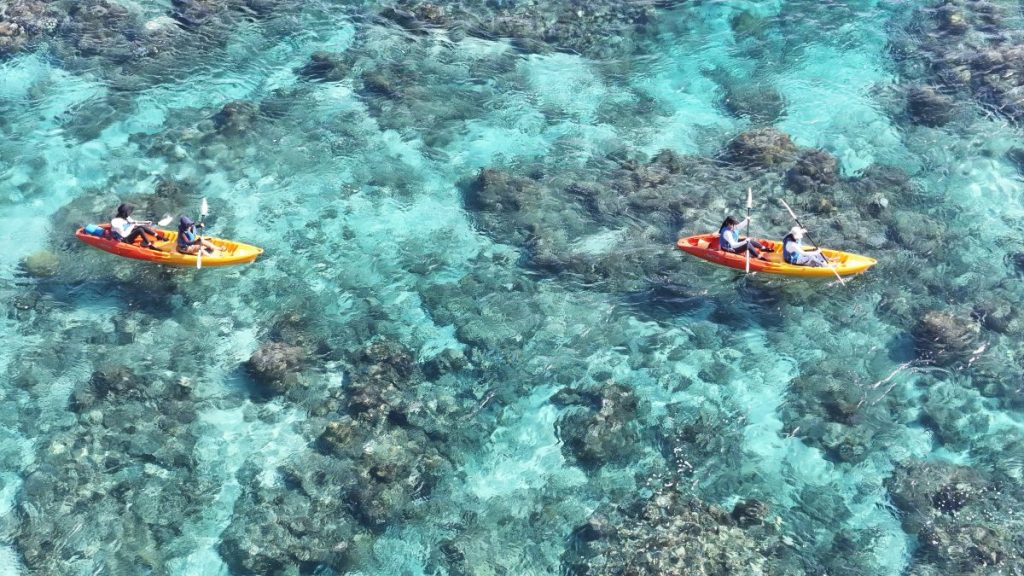 嘉陽層の褶曲シーカヤック＆ジオツアーのお客様 - No Image