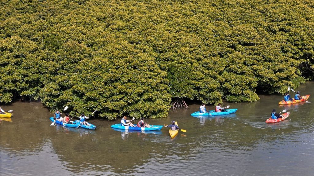 大浦川マングローブカヤックツアーのお客様 - No Image
