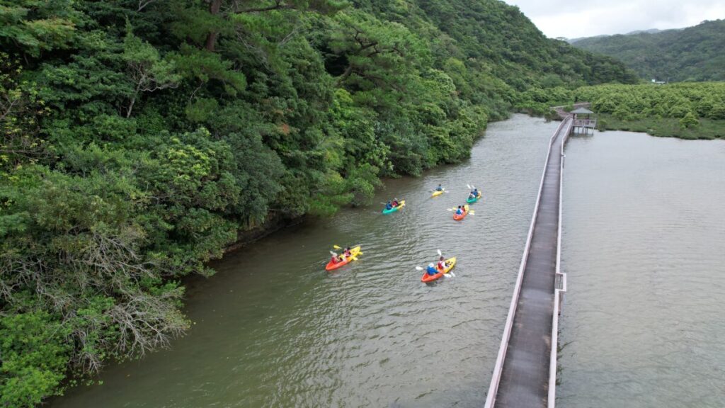 大浦川マングローブカヤックツアーのお客様 - No Image