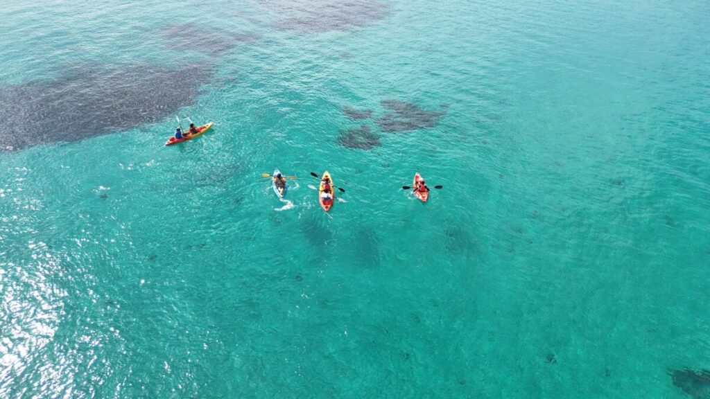 カヌチャリゾート/アンタッチビーチピクニックツアーのお客様 - No Image